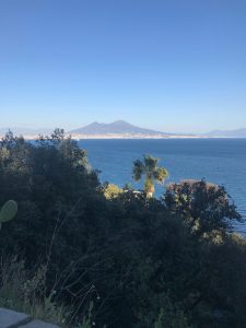 IMG_4500
